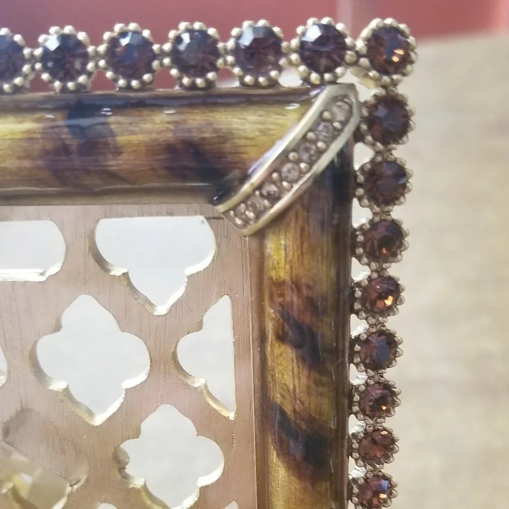 RARE JAY STRONGWATER EMILIA LEOPARD JUNGLE SAFARI PAVE CRYSTAL ENAMEL GOLD FRAME